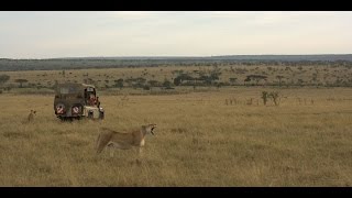 Kenia / Magical Kenya (Africa Travel Association)
