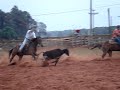 Team Roping Navirai - MS 07