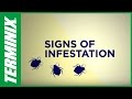How to get rid of and protect against bed bugs