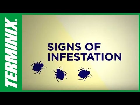 how to eliminate middle of night feeding