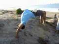 best trickz 2008
