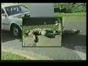 THE TRUTH ABOUT U.S FOREIGN POLICY.PART 7 THE TRUTH ABOUT U.S FOREIGN POLICY.PART 7