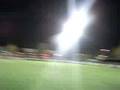 videos de AFC Wimbledon Fans- the womble aces