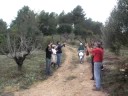 Trabucaires de Torrelles de llobregat