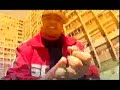 earatik statik - evil is timeless