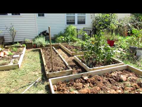 beds - I made over a large earth plot vegetable garden that was over-grown. Fall is a great time to makeover and redesign your vegetable garden. I dropped in a 2x10...