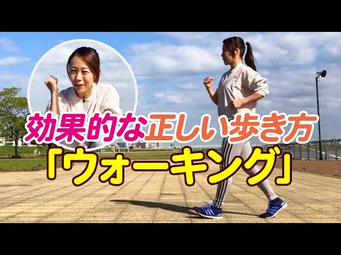 YouTube動画