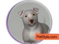 videos de The Wag: Race for the First Dog