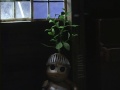 Starlight Cabin #2/2