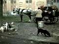 Mon Oncle (1958)