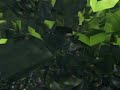 www.piranhaportal.net - RAMBO little Rhombeus Feeding