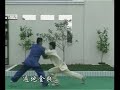 Chen Erhu (陈二虎) - Chen family taijiquan (陈氏太极拳) applications