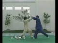 Chen Erhu (???) - Chen family taijiquan (?????) applications