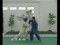 Chen Erhu (陈二虎) - Chen family taijiquan (陈氏太极拳) applications