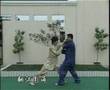 Chen Erhu (陈二虎) - Chen family taijiquan (陈氏太极拳) applications
