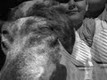 RIP Ashley 14 and 6 months (11.10.97-22.04.12)