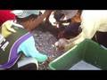 videos de Fishermen's catch of the day, coastal livelihood