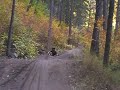 dirt jumping