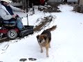 Charlie Snowplowing Charlie Snowplowing
