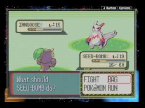 zangoose