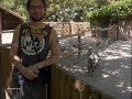 ZOOLOGICO ZOOLOGICO