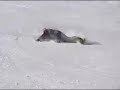 Carving Snowboard Extremecarving