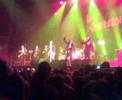 Amy Winehouse-Monkey man Amy Winehouse-Monkey man