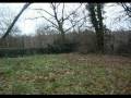 AUXCHOUX YAYA \"parodie de nico hulot \" le piqutouille sauvage by sommeliers de l\