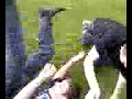 MFS -  catch attack
