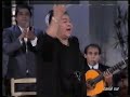 flamenco