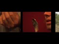 wonderful clip of a guy in the jungle. remix of the famous song.
