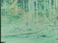Original Bigfoot Footage Original Bigfoot Footage