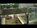 BIRD ON ESCALATOR!