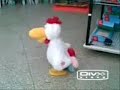 Margherita la gallina impazzita - Crazy dancing chicken