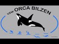 Onderwaterhockey Orca Bilzen