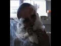 Tjalfe H - De Haetteklaedte - Facelifted (remix)