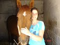 CHEVAL