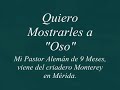 Mi Pastor Aleman "Oso"