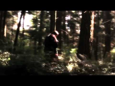 Delirium | Alex & Lena |