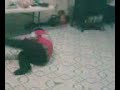 tio pedo tio pedo