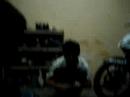 shashu shashu