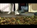 Smash My Lightbulb 2 (HD 1080p)