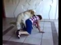 videos de Vecchia signora che viene aggredita da un cane arrapato