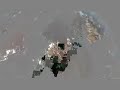 human instinct - from preservation to destruction