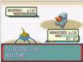 Surskit Only Run -Part 6- Roxanne(1st)