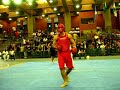 Arthur Mathias Araujo Estadual de Kung fu (San shou) RJ