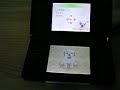 Nintendogs Nintendogs