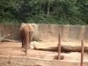 zoo Atlanta