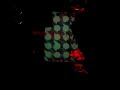 BLUES MOTEL - NO EXPECTATION