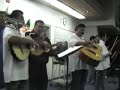 El Perico Loro